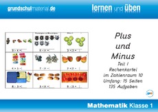 Plus und Minus ZR 10 Teil 1.pdf